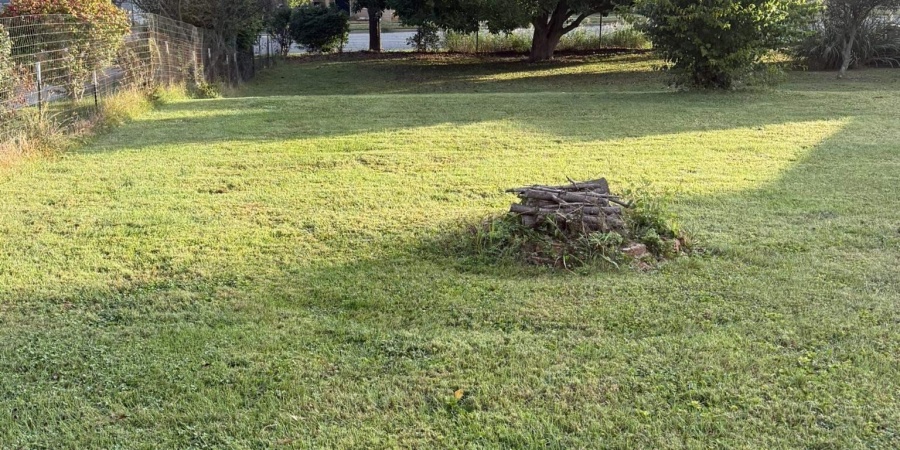 909 W Temperance Street, Ellettsville, Indiana 47429,MLS,202539626