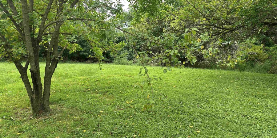 3521 W Tapp Road, Bloomington, Indiana 47403-3148,MLS,202539627