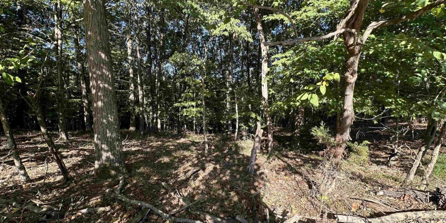 7555 E Rush Ridge Road, Bloomington, Indiana 47401,MLS,202539772