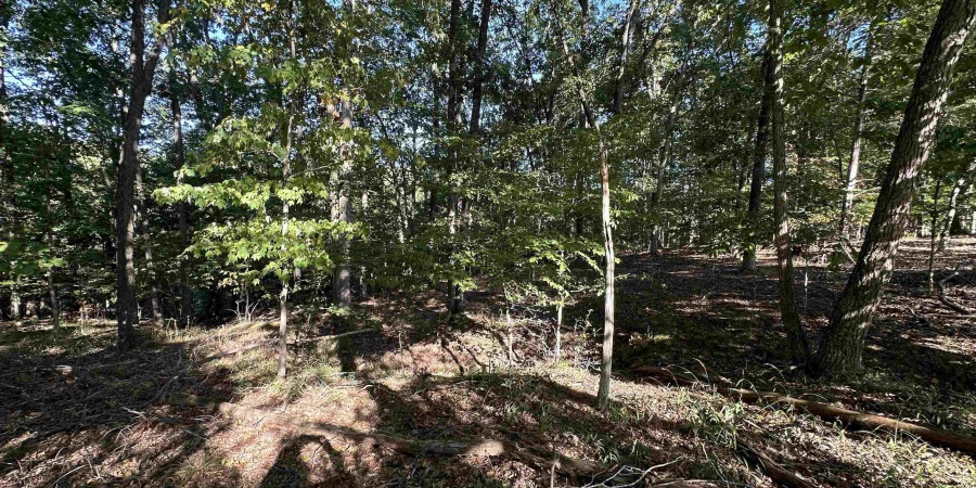 7555 E Rush Ridge Road, Bloomington, Indiana 47401,MLS,202539772