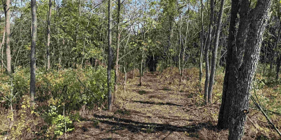 5752 Tunnelton Rd, Bedford, Indiana 47421,MLS,202539771