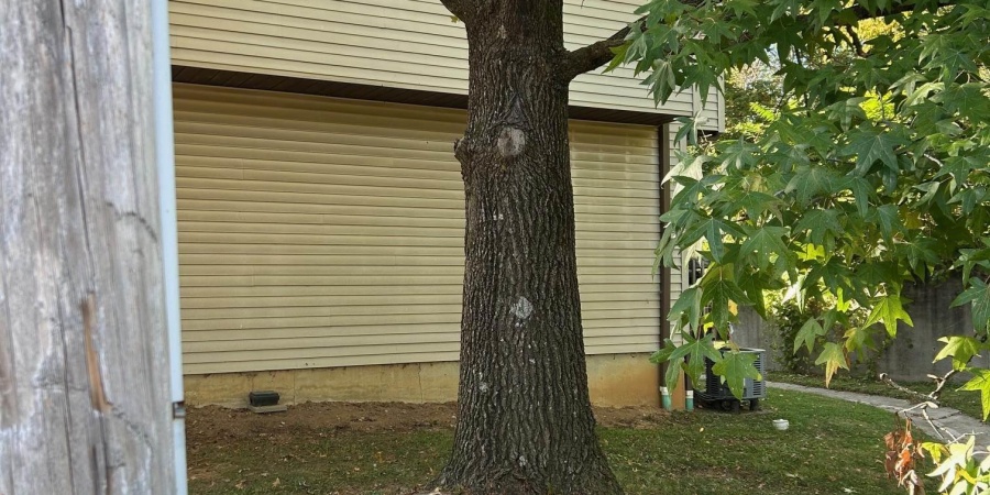 599 E Graham Place, Bloomington, Indiana 47401,MLS,202539804