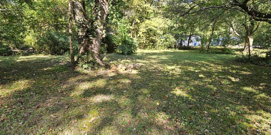 13441 S Prospect Street, Coalmont, Indiana 47845,MLS,202539952