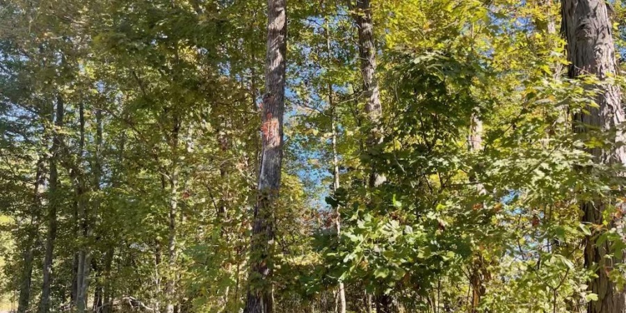 TBD Ditney Ridge Road (12acres), Bedford, Indiana 47421,MLS,202541209