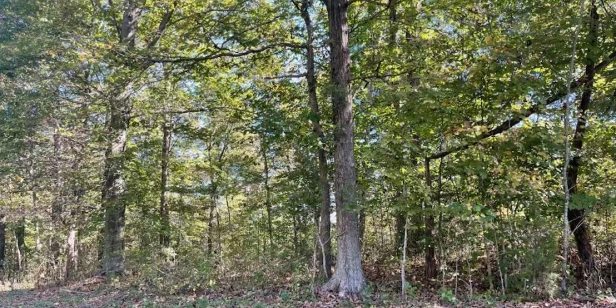 TBD Ditney Ridge Road (12acres), Bedford, Indiana 47421,MLS,202541209