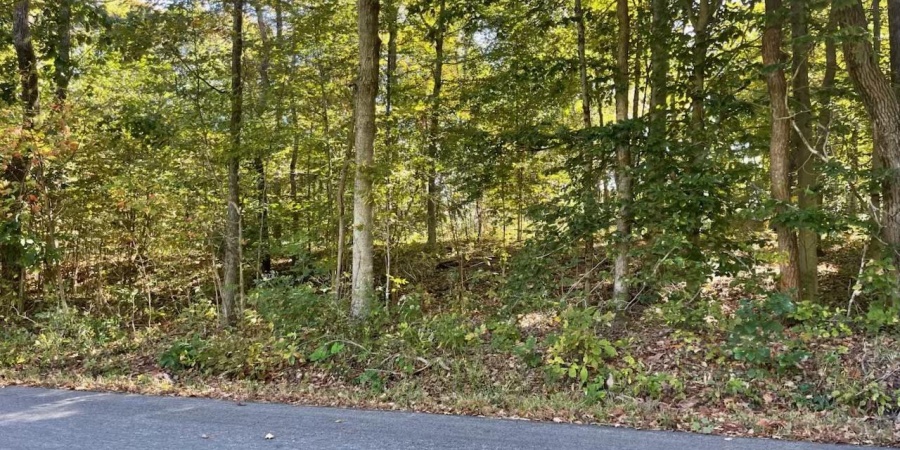 TBD Ditney Ridge Road (12acres), Bedford, Indiana 47421,MLS,202541209