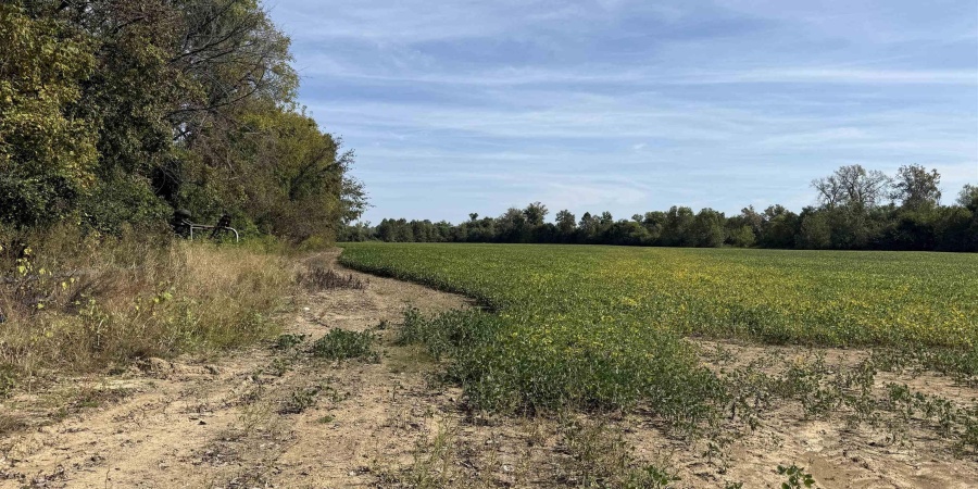 1 E 100 Road, Worthington, Indiana 47471,MLS,202541288