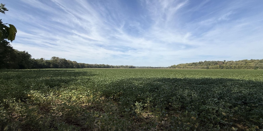 2 E 100 Road, Worthington, Indiana 47471,MLS,202541289