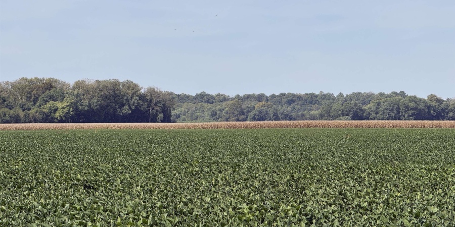 2 E 100 Road, Worthington, Indiana 47471,MLS,202541289