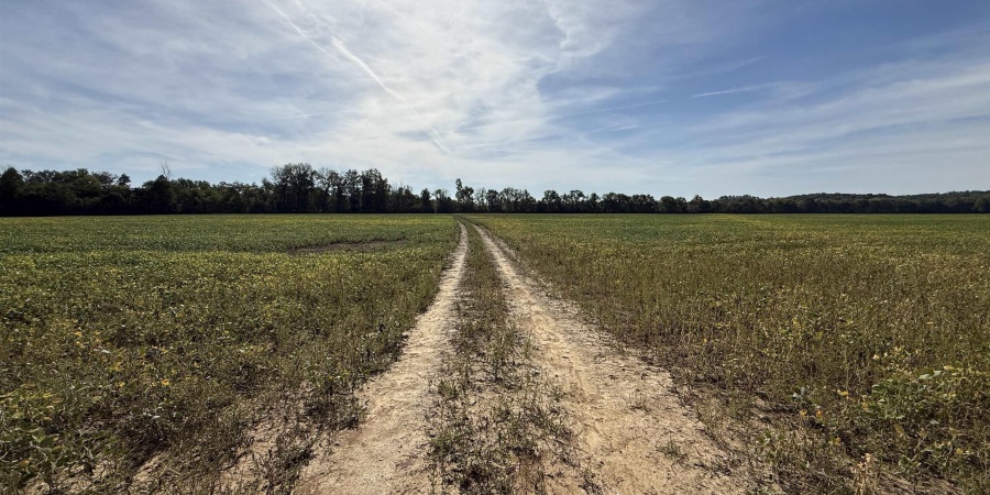 2 E 100 Road, Worthington, Indiana 47471,MLS,202541289