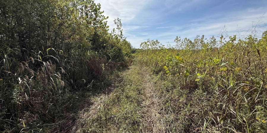 3 E 100 Road, Worthington, Indiana 47471,MLS,202541290