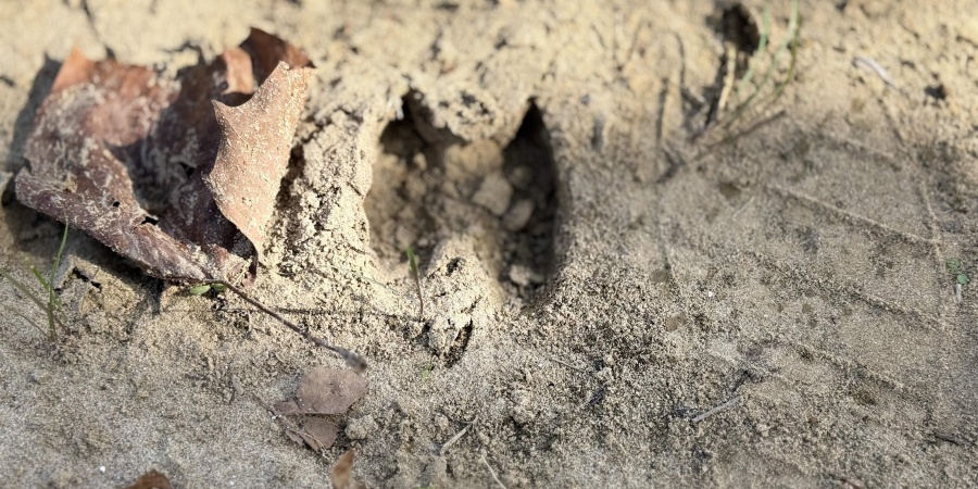 3 E 100 Road, Worthington, Indiana 47471,MLS,202541290