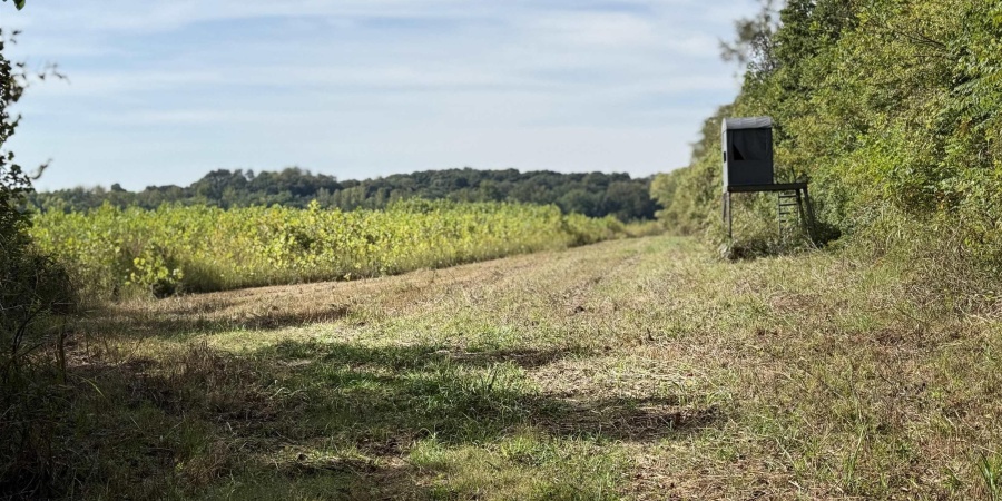 3 E 100 Road, Worthington, Indiana 47471,MLS,202541290