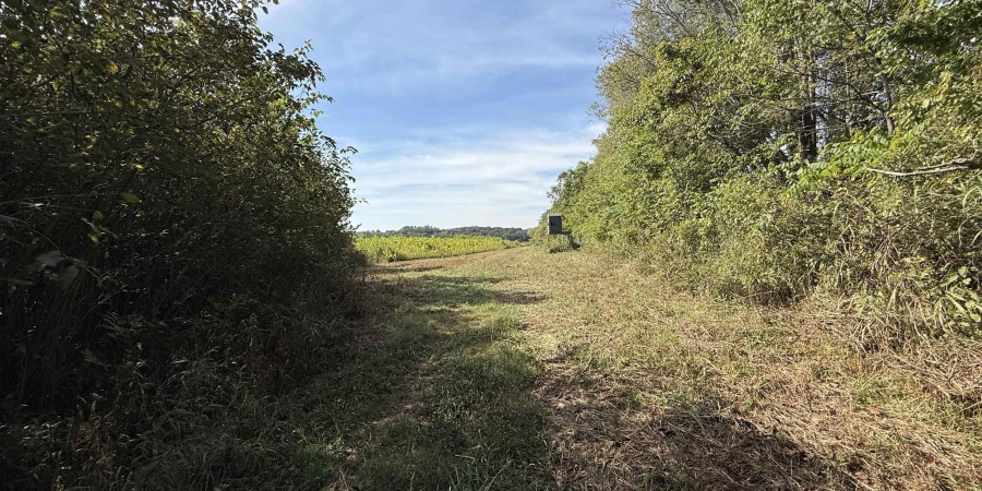 3 E 100 Road, Worthington, Indiana 47471,MLS,202541290