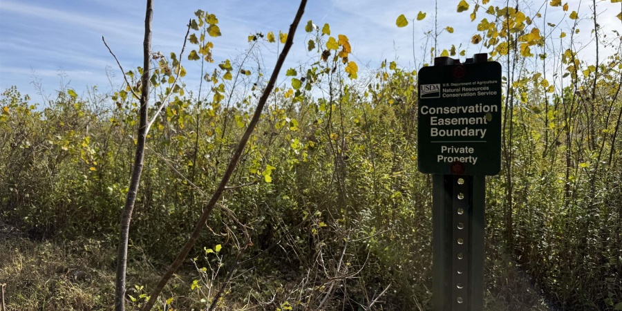 3 E 100 Road, Worthington, Indiana 47471,MLS,202541290