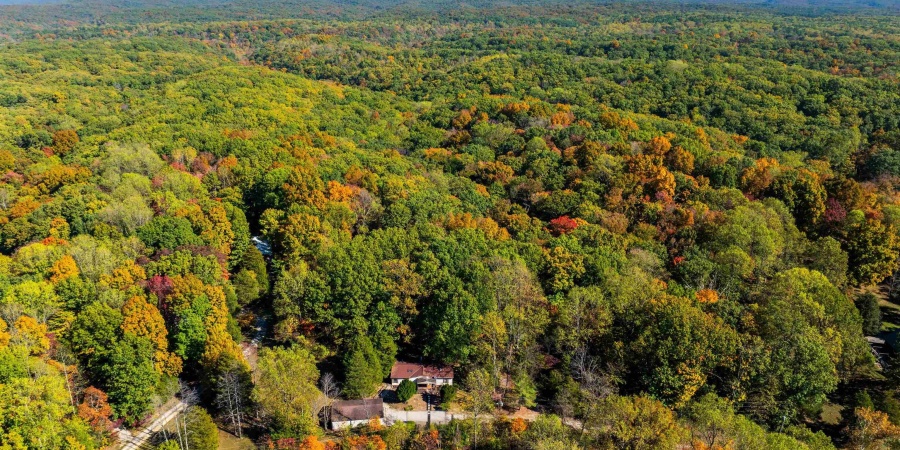 9011 Old Dutch Ridge Road, Heltonville, Indiana 47264,MLS,202541285