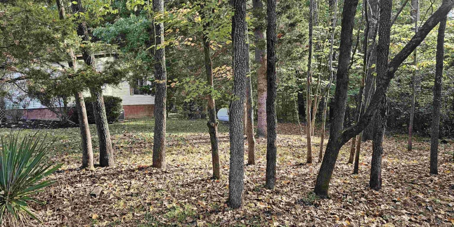 9011 Old Dutch Ridge Road, Heltonville, Indiana 47264,MLS,202541285