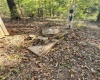 9011 Old Dutch Ridge Road, Heltonville, Indiana 47264,MLS,202541285