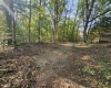 9011 Old Dutch Ridge Road, Heltonville, Indiana 47264,MLS,202541285
