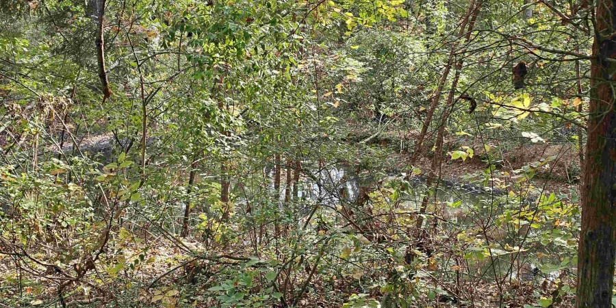 9011 Old Dutch Ridge Road, Heltonville, Indiana 47264,MLS,202541285