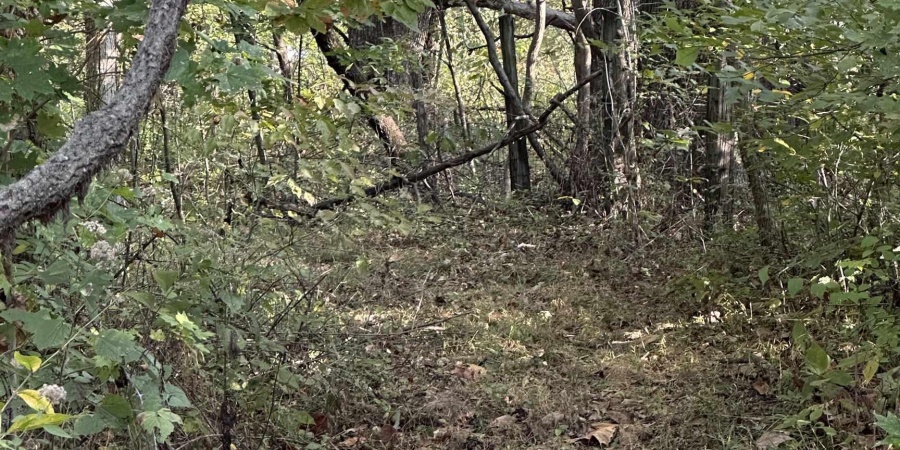 0000 W 100 S Road, Linton, Indiana 47441,MLS,202541670