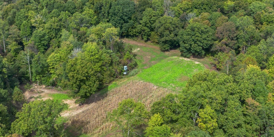 1271 Cedar Lane, Spencer, Indiana 47460,MLS,202541654