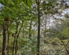 7487 & 7489 N John Young Road, Unionville, Indiana 47468,MLS,202541926