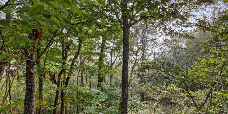 7487 & 7489 N John Young Road, Unionville, Indiana 47468,MLS,202541926