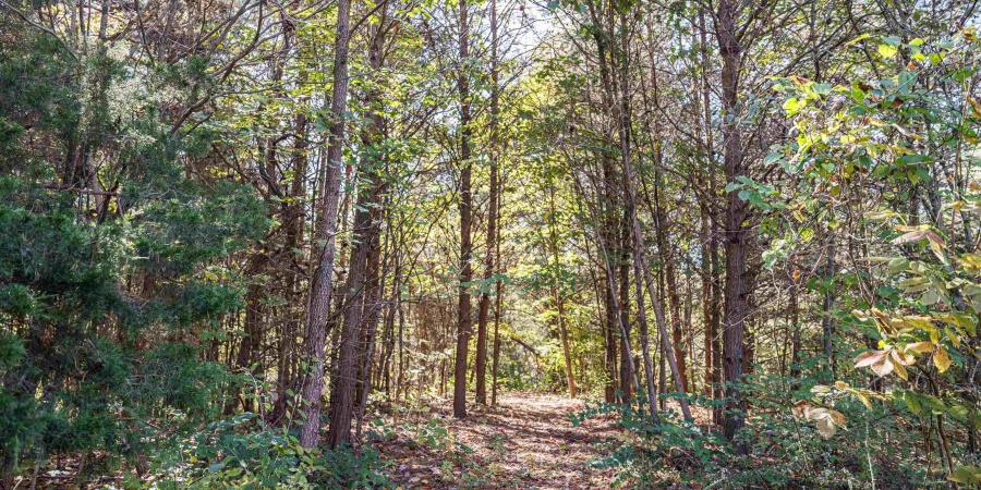 Tract 2 3708 State Ferry Road, Solsberry, Indiana 47459,MLS,202542003