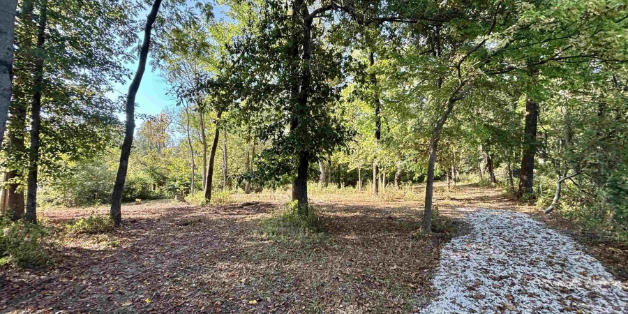 00 State Rd 59, Jasonville, Indiana 47438,MLS,202542141