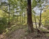00 State Rd 59, Jasonville, Indiana 47438,MLS,202542141
