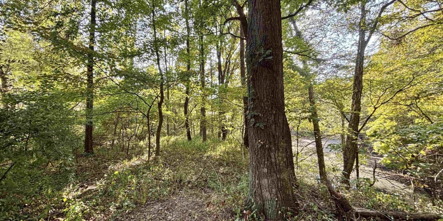 00 State Rd 59, Jasonville, Indiana 47438,MLS,202542141