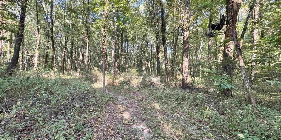00 State Rd 59, Jasonville, Indiana 47438,MLS,202542141