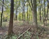 00 State Rd 59, Jasonville, Indiana 47438,MLS,202542141