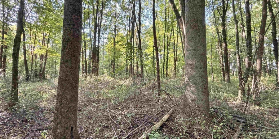 00 State Rd 59, Jasonville, Indiana 47438,MLS,202542141