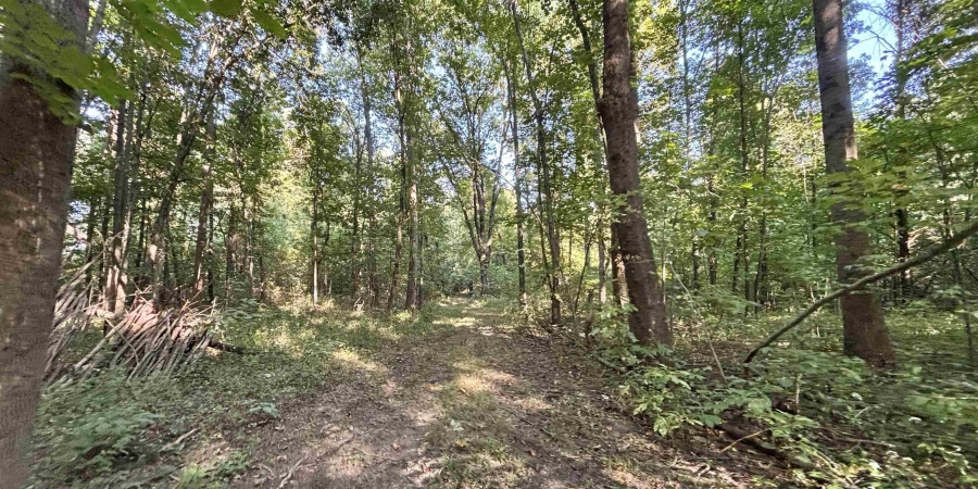 00 State Rd 59, Jasonville, Indiana 47438,MLS,202542141