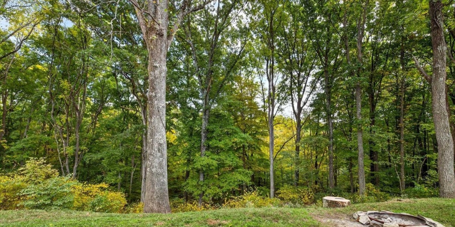 8720 N Old State Road 37 Road, Bloomington, Indiana 47408-9246,MLS,202542386