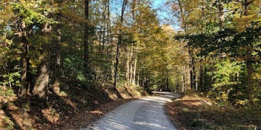 7200 S Hamilton Lane, Bloomfield, Indiana 47424-5137,MLS,202542536