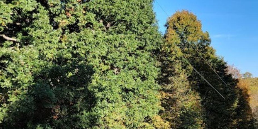 7200 S Hamilton Lane, Bloomfield, Indiana 47424-5137,MLS,202542536