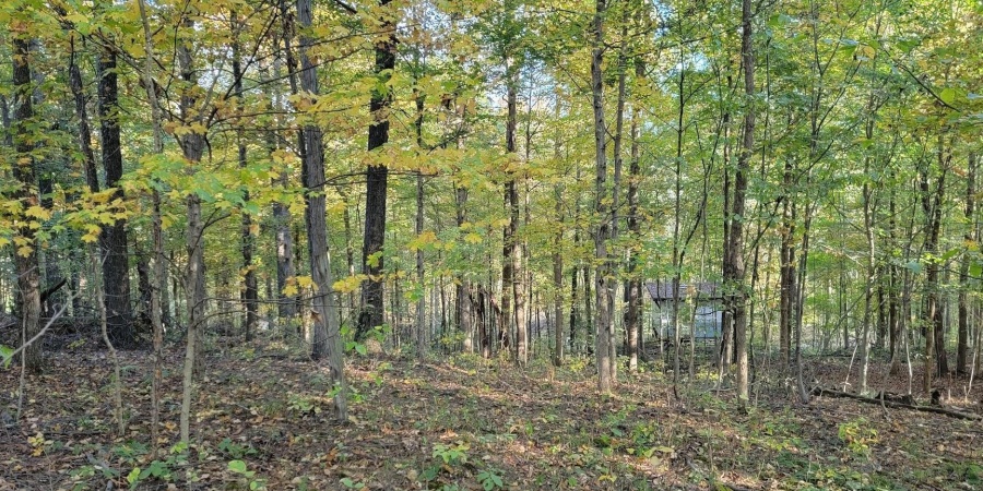 7200 S Hamilton Lane, Bloomfield, Indiana 47424-5137,MLS,202542536