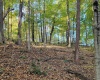 7200 S Hamilton Lane, Bloomfield, Indiana 47424-5137,MLS,202542536