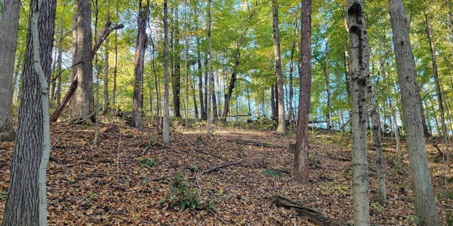 7200 S Hamilton Lane, Bloomfield, Indiana 47424-5137,MLS,202542536