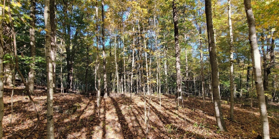 7200 S Hamilton Lane, Bloomfield, Indiana 47424-5137,MLS,202542536