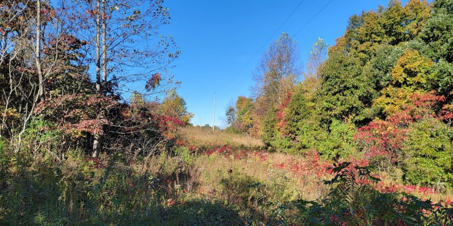 7200 S Hamilton Lane, Bloomfield, Indiana 47424-5137,MLS,202542536
