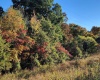 7200 S Hamilton Lane, Bloomfield, Indiana 47424-5137,MLS,202542536