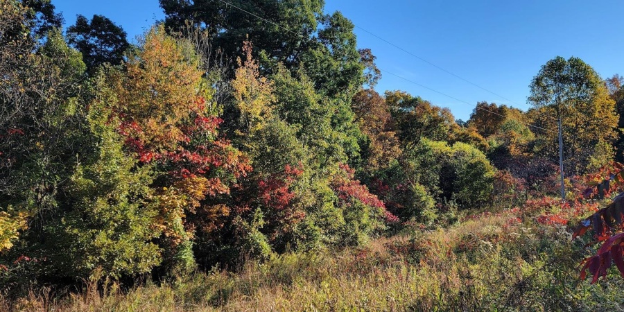 7200 S Hamilton Lane, Bloomfield, Indiana 47424-5137,MLS,202542536