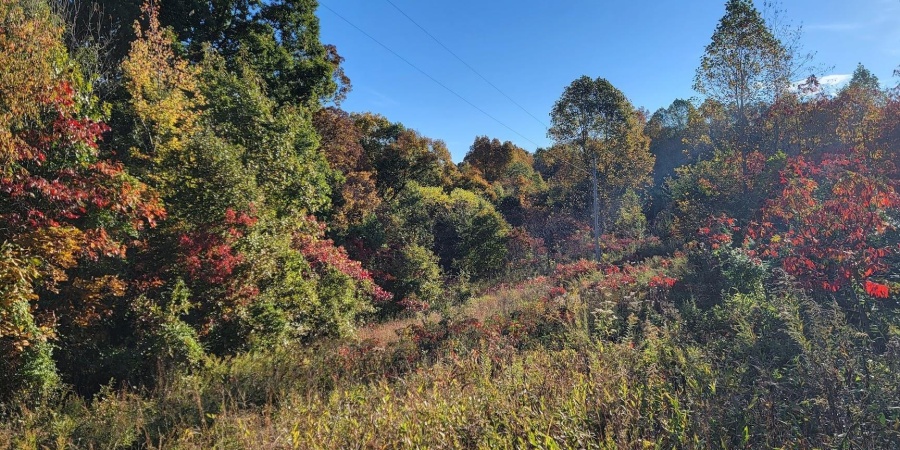 7200 S Hamilton Lane, Bloomfield, Indiana 47424-5137,MLS,202542536