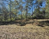 TBD W Graves Road, Bloomington, Indiana 47403,MLS,202542608