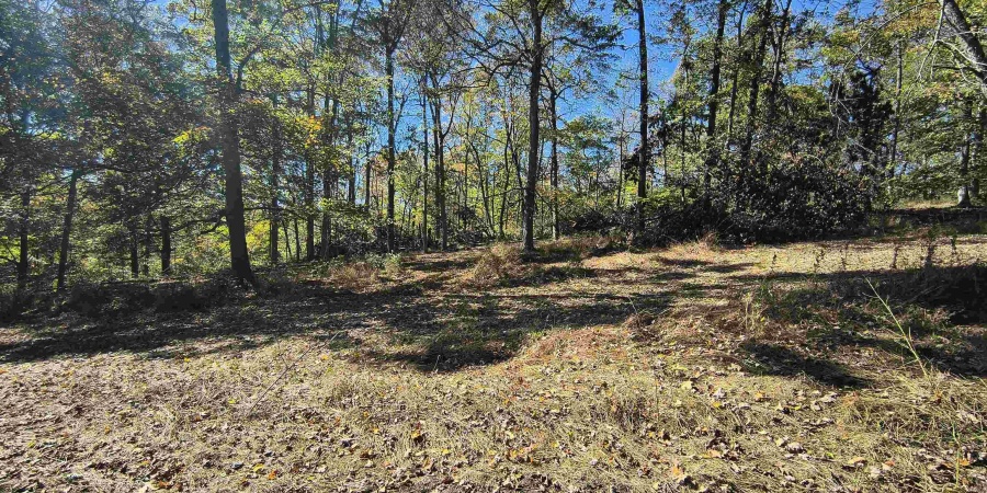 TBD W Graves Road, Bloomington, Indiana 47403,MLS,202542608