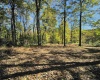 TBD W Graves Road, Bloomington, Indiana 47403,MLS,202542608
